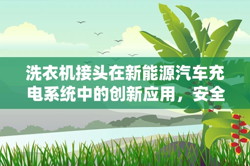 洗衣机接头在新能源汽车充电系统中的创新应用，安全与效率的双重挑战？