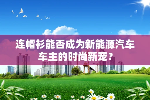 连帽衫能否成为新能源汽车车主的时尚新宠？