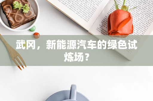 武冈，新能源汽车的绿色试炼场？