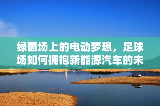 绿茵场上的电动梦想，足球场如何拥抱新能源汽车的未来？