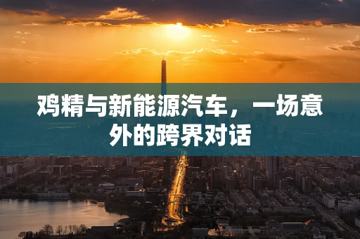 鸡精与新能源汽车，一场意外的跨界对话