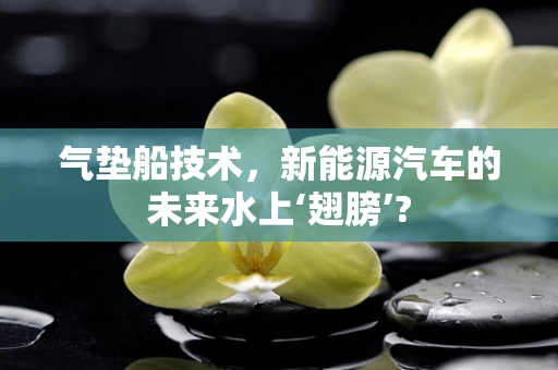 气垫船技术，新能源汽车的未来水上‘翅膀’?
