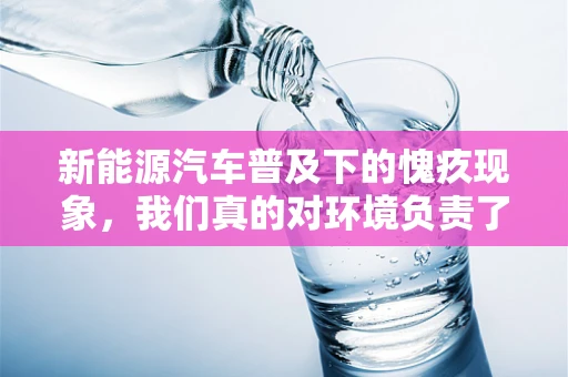 新能源汽车普及下的愧疚现象，我们真的对环境负责了吗？