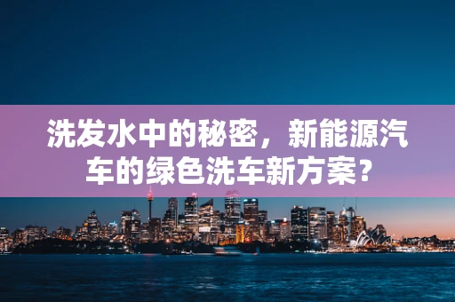 洗发水中的秘密，新能源汽车的绿色洗车新方案？
