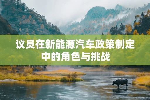议员在新能源汽车政策制定中的角色与挑战