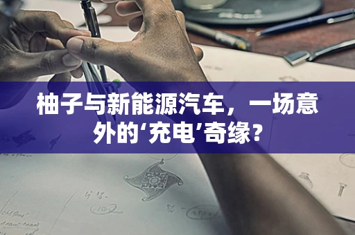 柚子与新能源汽车，一场意外的‘充电’奇缘？