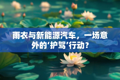 雨衣与新能源汽车，一场意外的‘护驾’行动？
