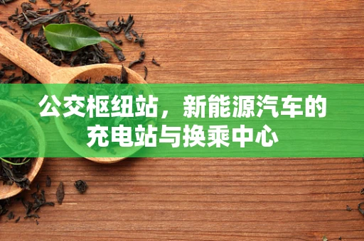 公交枢纽站，新能源汽车的充电站与换乘中心