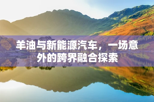 羊油与新能源汽车，一场意外的跨界融合探索