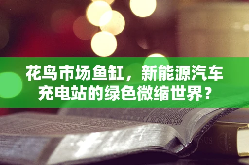 花鸟市场鱼缸，新能源汽车充电站的绿色微缩世界？
