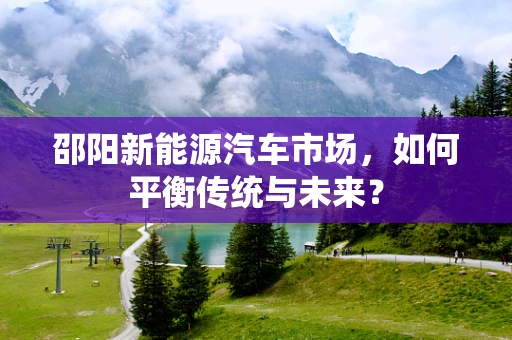 邵阳新能源汽车市场，如何平衡传统与未来？