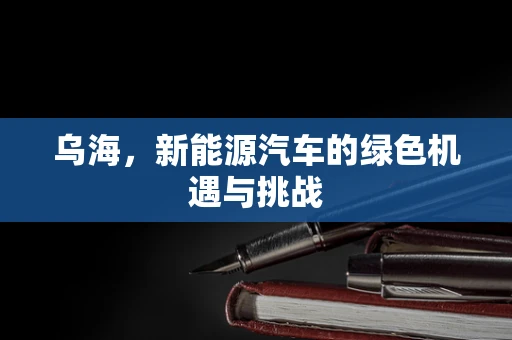 乌海，新能源汽车的绿色机遇与挑战