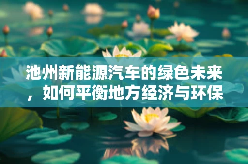 池州新能源汽车的绿色未来，如何平衡地方经济与环保需求？