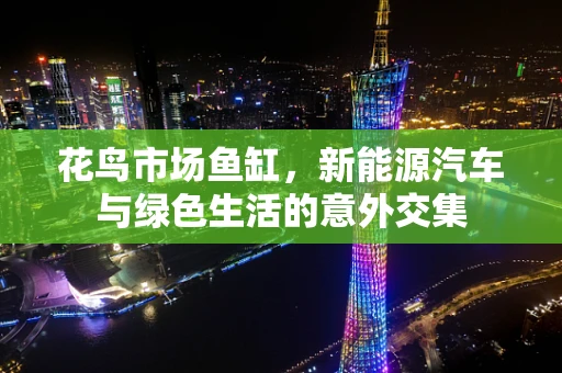花鸟市场鱼缸，新能源汽车与绿色生活的意外交集