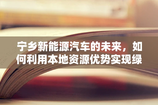 宁乡新能源汽车的未来，如何利用本地资源优势实现绿色出行？