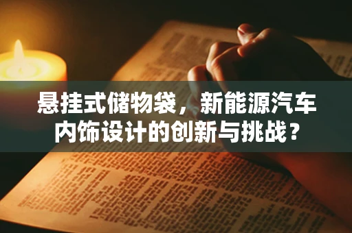 悬挂式储物袋，新能源汽车内饰设计的创新与挑战？