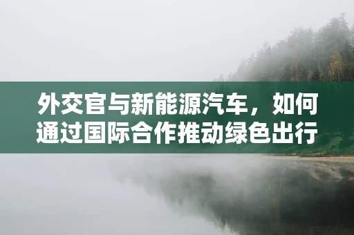外交官与新能源汽车，如何通过国际合作推动绿色出行？