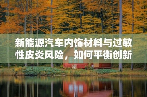 新能源汽车内饰材料与过敏性皮炎风险，如何平衡创新与健康？