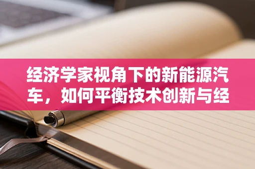 经济学家视角下的新能源汽车，如何平衡技术创新与经济可持续性？