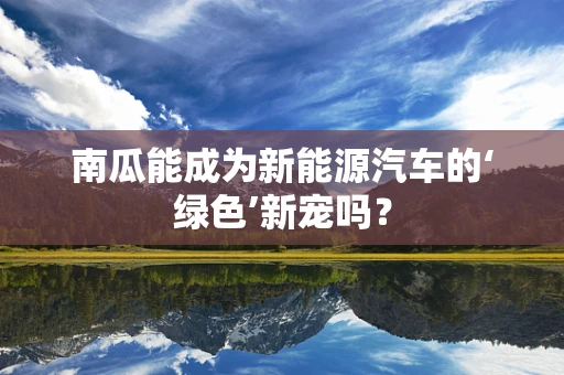 南瓜能成为新能源汽车的‘绿色’新宠吗？