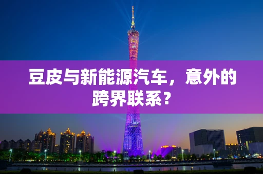 豆皮与新能源汽车，意外的跨界联系？