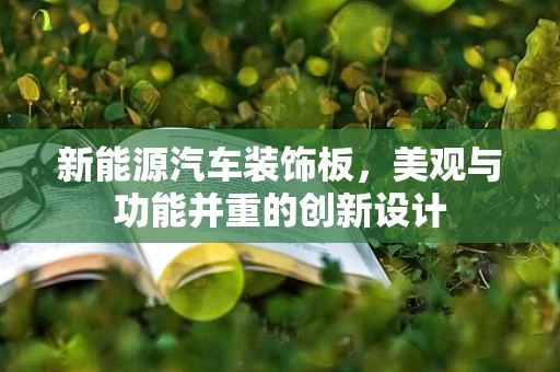 新能源汽车装饰板，美观与功能并重的创新设计