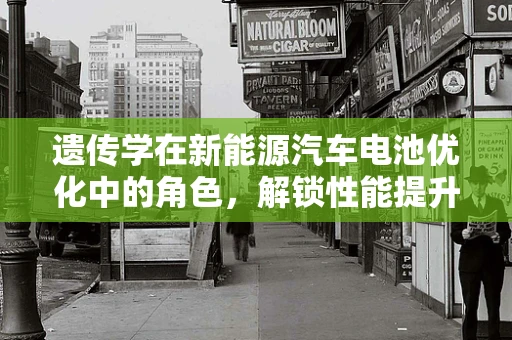 遗传学在新能源汽车电池优化中的角色，解锁性能提升的密码？