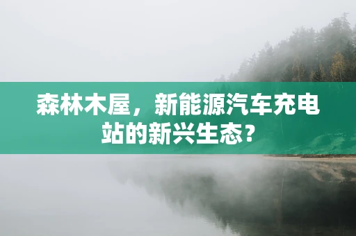 森林木屋，新能源汽车充电站的新兴生态？