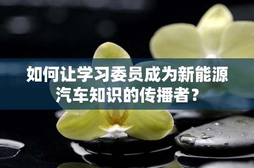 如何让学习委员成为新能源汽车知识的传播者？