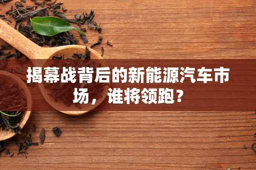 揭幕战背后的新能源汽车市场，谁将领跑？