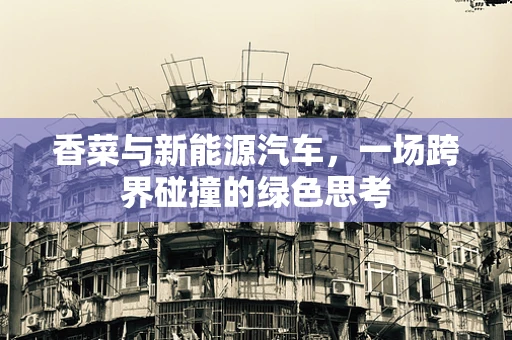 香菜与新能源汽车，一场跨界碰撞的绿色思考