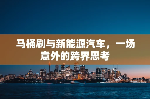 马桶刷与新能源汽车，一场意外的跨界思考