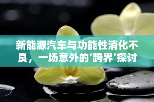 新能源汽车与功能性消化不良，一场意外的‘跨界’探讨