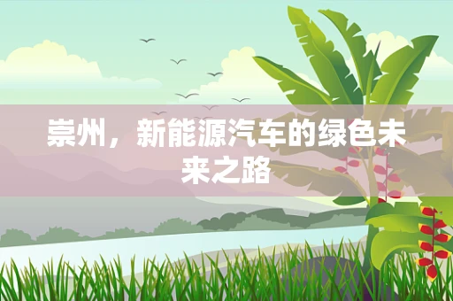 崇州，新能源汽车的绿色未来之路