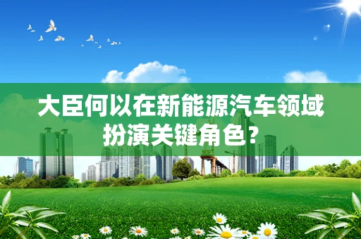 大臣何以在新能源汽车领域扮演关键角色？