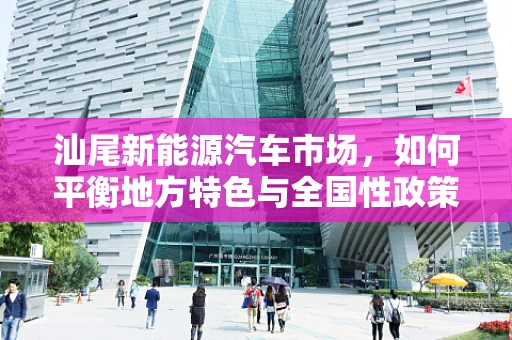 汕尾新能源汽车市场，如何平衡地方特色与全国性政策？
