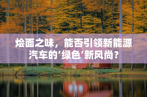 烩面之味，能否引领新能源汽车的‘绿色’新风尚？