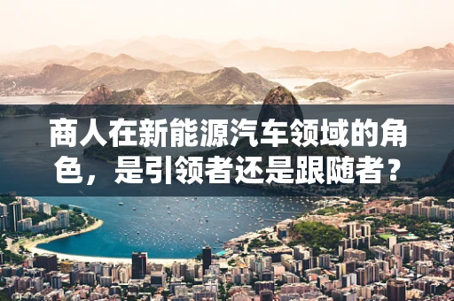 商人在新能源汽车领域的角色，是引领者还是跟随者？