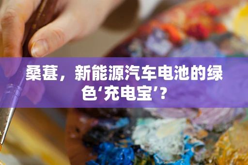 桑葚，新能源汽车电池的绿色‘充电宝’？