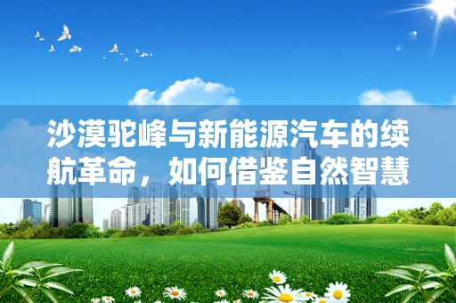 沙漠驼峰与新能源汽车的续航革命，如何借鉴自然智慧提升续航能力？