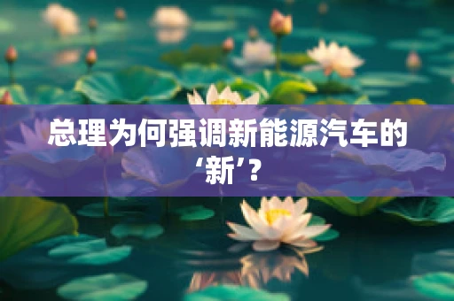 总理为何强调新能源汽车的‘新’？