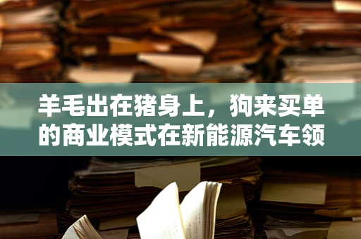 羊毛出在猪身上，狗来买单的商业模式在新能源汽车领域能走多远？