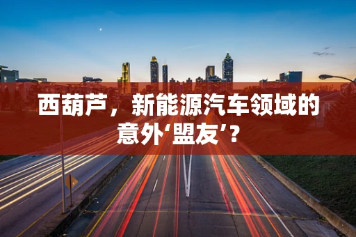 西葫芦，新能源汽车领域的意外‘盟友’？