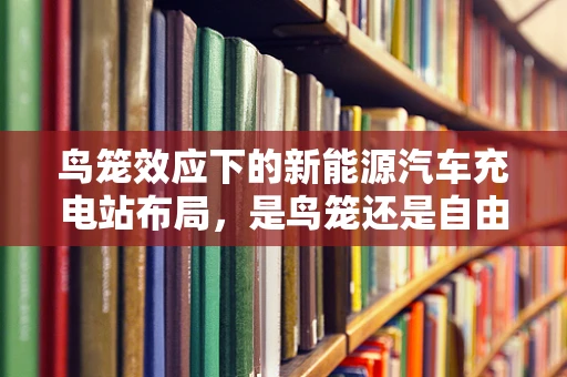 鸟笼效应下的新能源汽车充电站布局，是鸟笼还是自由飞翔的蓝天？