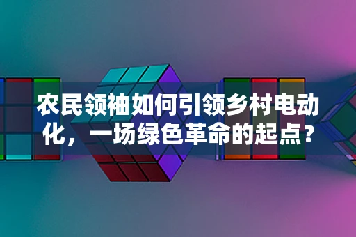 农民领袖如何引领乡村电动化，一场绿色革命的起点？
