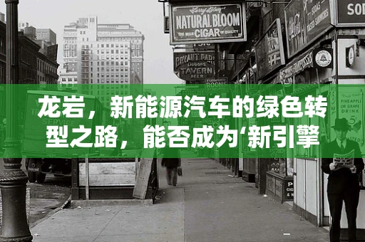 龙岩，新能源汽车的绿色转型之路，能否成为‘新引擎’？