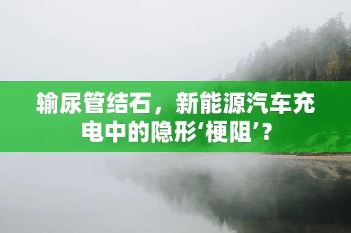 输尿管结石，新能源汽车充电中的隐形‘梗阻’？
