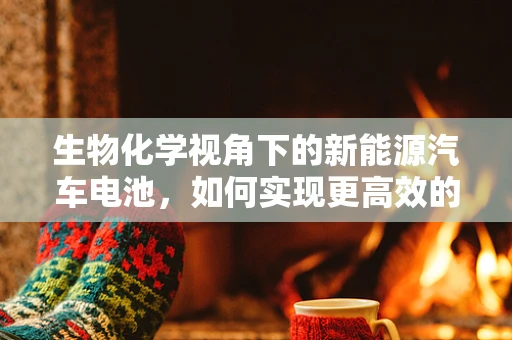 生物化学视角下的新能源汽车电池，如何实现更高效的能量转换？