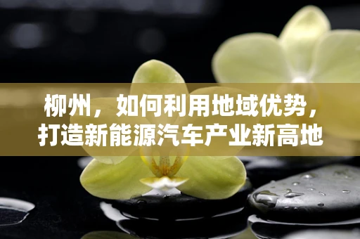 柳州，如何利用地域优势，打造新能源汽车产业新高地？
