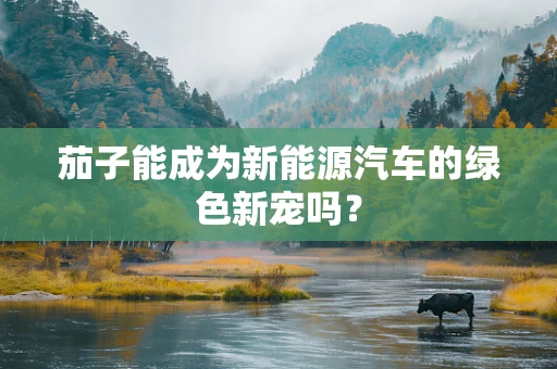 茄子能成为新能源汽车的绿色新宠吗？